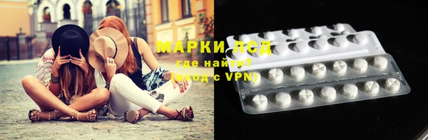 сатива Богданович