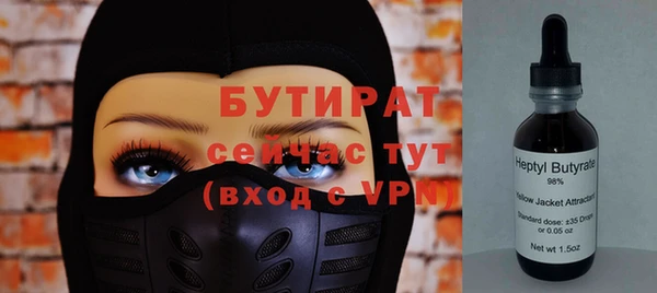 сатива Богданович