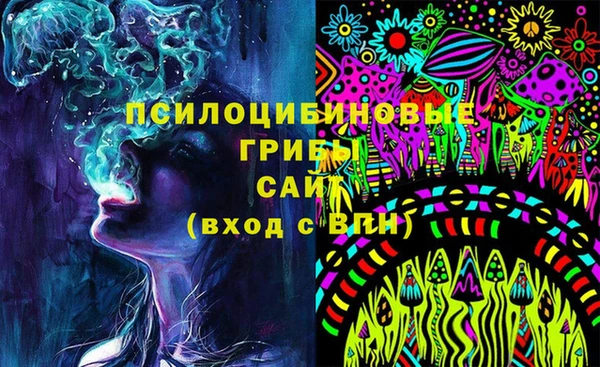 сатива Богданович
