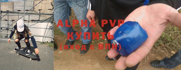 сатива Богданович