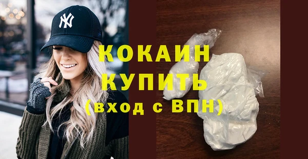 сатива Богданович