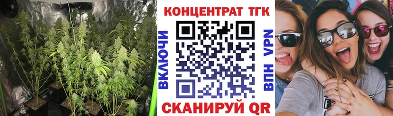 ТГК концентрат hydra как войти Пестово